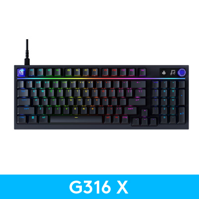 G316 X